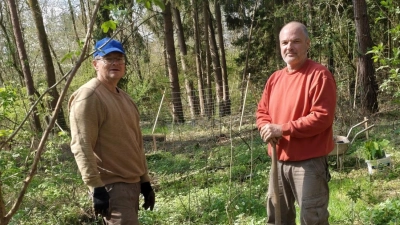 Vorsitzender Reinhold Wilterius und Uwe Harasko bei der Neupflanzung zukunftstauglicher Baumarten. (Bild: Rainer Knoll)