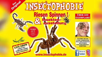 Das Bild zeigt ein Motiv der Ausstellung „Insectophobie“, die in Amberg zu sehen ist. (Bild: Giovanno Neigert)