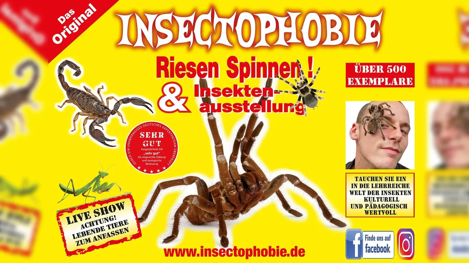 Das Bild zeigt ein Motiv der Ausstellung „Insectophobie“, die in Amberg zu sehen ist. (Bild: Giovanno Neigert)