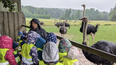 Interessiert betrachteten die Kinder die großen Vögel (Bild: Ursula Zimmermann)