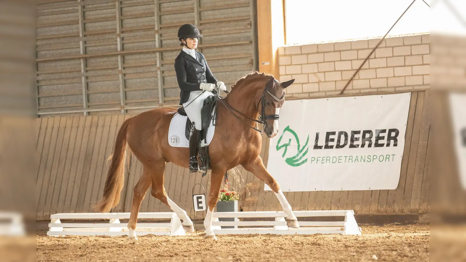 Bild einer Prüfung der Klasse M (Bild: Ulrike Kick)
