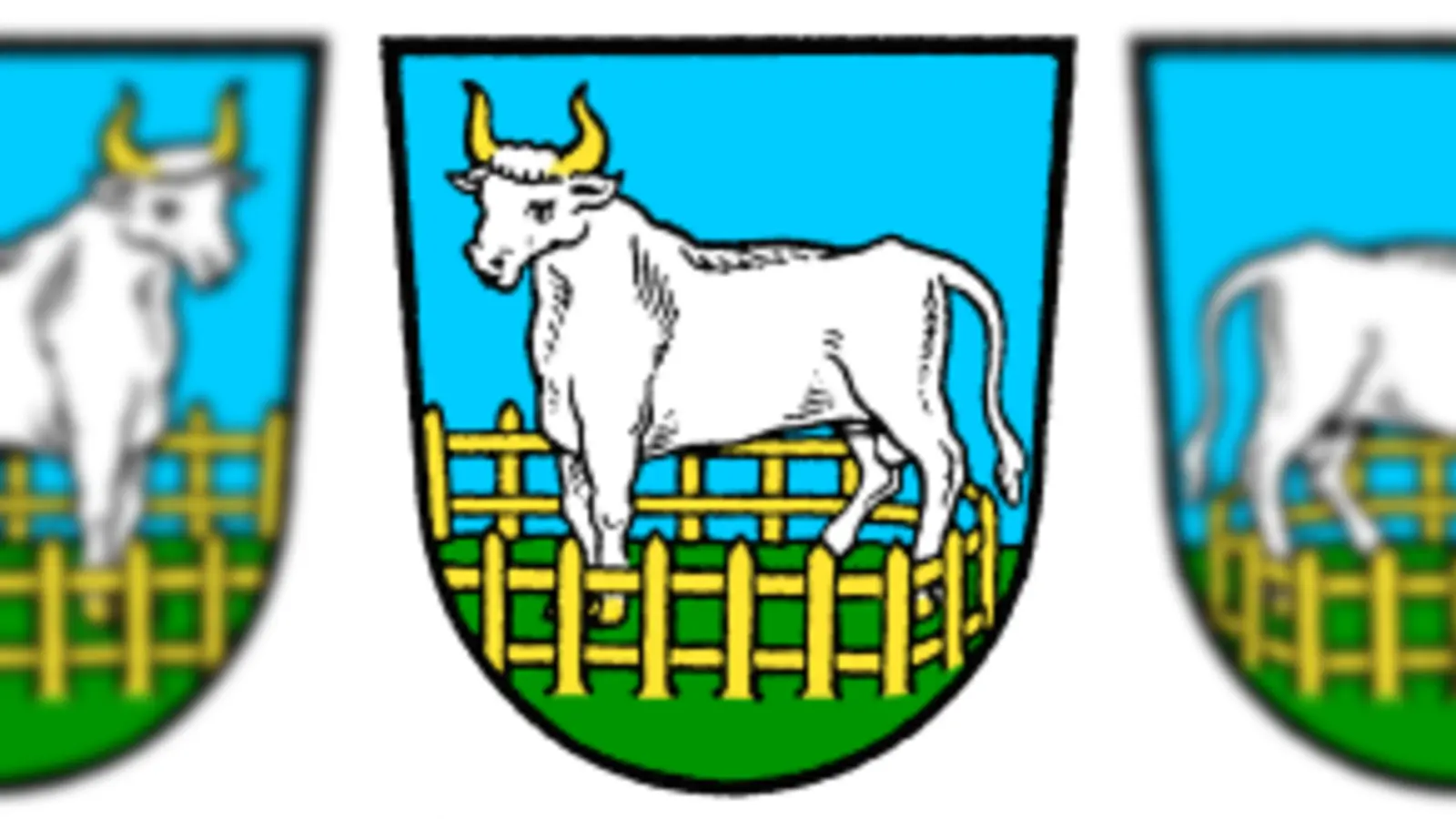 Die Abbildung zeigt die Bekanntmachung zur Sitzung des Marktgemeinderates Schwarzhofen am 19. Oktober. (Bild: QUELLE UNBEKANNT!)