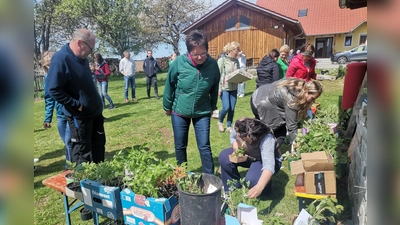 Vieles gab es im Angebot der Tauschbörse. (Bild: Annemarie Mösbauer)