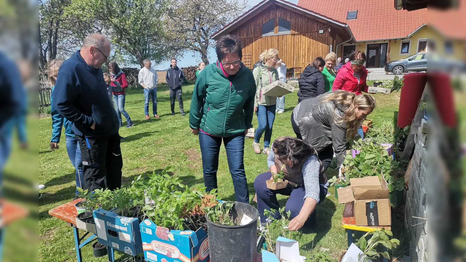 Vieles gab es im Angebot der Tauschbörse. (Bild: Annemarie Mösbauer)