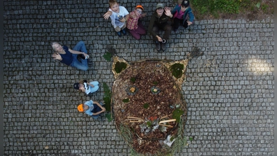 Ein riesiger Luchs aus Naturmaterialien ziert momentan das Infoportal am Steinwald bei Pfaben. (Bild: Fabian Keppler-Stobrawe )