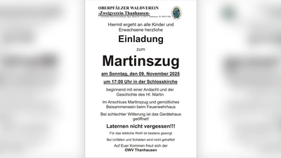 Plakat Martinszug OWV Thanhausen (Bild: Andreas Schwamberger)