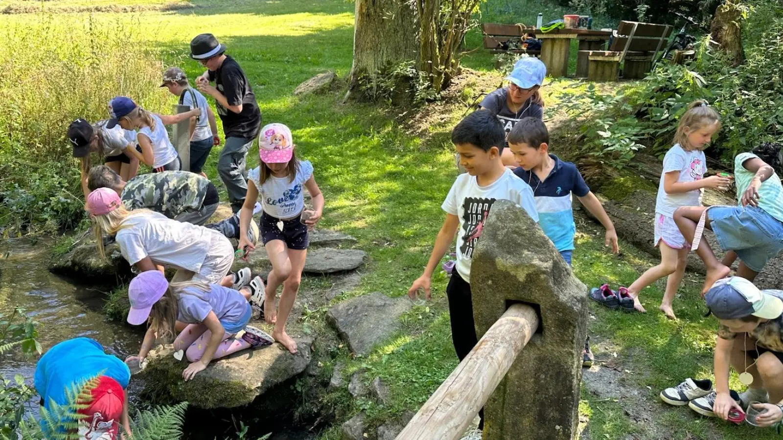 Mit Becherlupen entdeckten die Kinder die Tierwelt im Gruberbach. (Bild: Erika Grötsch)