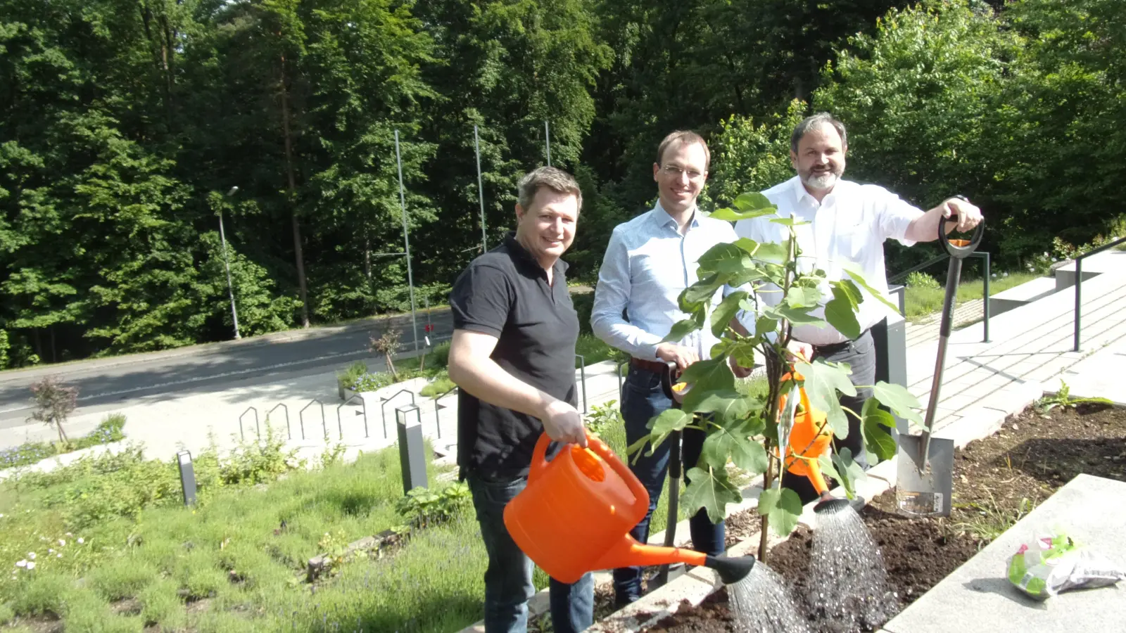 Der Baum ist eingepflanzt, jetzt muss er nur noch wachsen, so wie die Zusammenarbeit zwischen dem Förderverein Freunde des Gymnasiums Neustadt und dem neuen Schullieter. Von links: Felix Punzmann, Florian Amann, Schulleiter Francisco Garcia.  (Bild: Florian Amann)