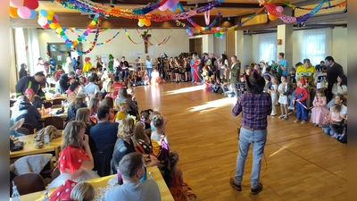 Kinderfasching Waldershof.  (Bild: Bärbel Burger)