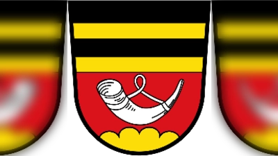 Die Grafik zeigt die Tagesordnung der Gemeinderatssitzung in Altendorf am 3. September. (Bild: QUELLE UNBEKANNT!)