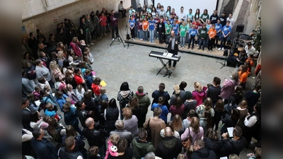 Tag der offenen Tür des Augustinus-Gymnasiums Weiden  (Bild: Markus Fellner)