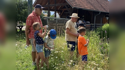 Spannende Weiher-Führung (Bild: Erhard Ströhl)