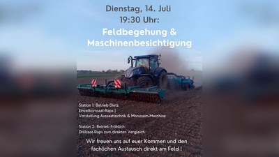 Einladung zur Feldführung.  (Bild: Carolin Schrembs)