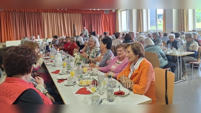 Bestens gelaunte Senioren bei der Mutter- und Vatertagsfeier im Pfarrsaal Schirmitz (Bild: Alfred Wulfänger)