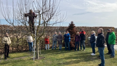 Thomas Partenheimer bei der Baumpflege: Obstbaumschnittkurses Siedlergemeinschaft Kaltenbrunn e.V.  (Bild: Christian Seidl)