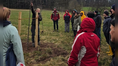 Gartenbauingenieurin Hanna Häring zeigt den richtigen Schnitt am jungen Baum. (Bild: Alexandra Kurz)
