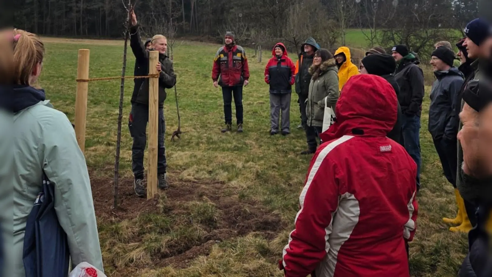 Gartenbauingenieurin Hanna Häring zeigt den richtigen Schnitt am jungen Baum. (Bild: Alexandra Kurz)