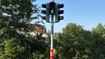 Pfadfinder Ampel Sulzbach-Rosenberg. (Bild: Jana Pilhofer)