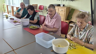 Schälen, entkernen und in kleine Stücke schneiden. Für den Apfelkuchen war einiges an Vorbereitung nötig. (Bild: Ilona Fritsche)
