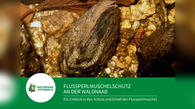 Die Infostelle Flussperlmuschel öffnet am 1. Mai wieder ihre Türen. (Bild: Elisabeth Frank)