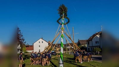 Aufstellen des Maibaumes mit „Schwalben” durch die Burschen. (Bild: Thomas Betz)