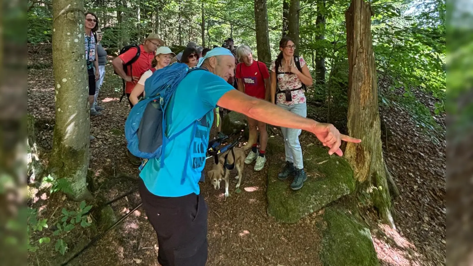 Steinwaldwanderung (Bild: Klaus Reichel)