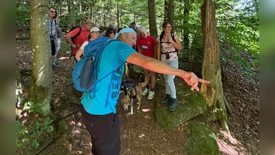 Steinwaldwanderung (Bild: Klaus Reichel)