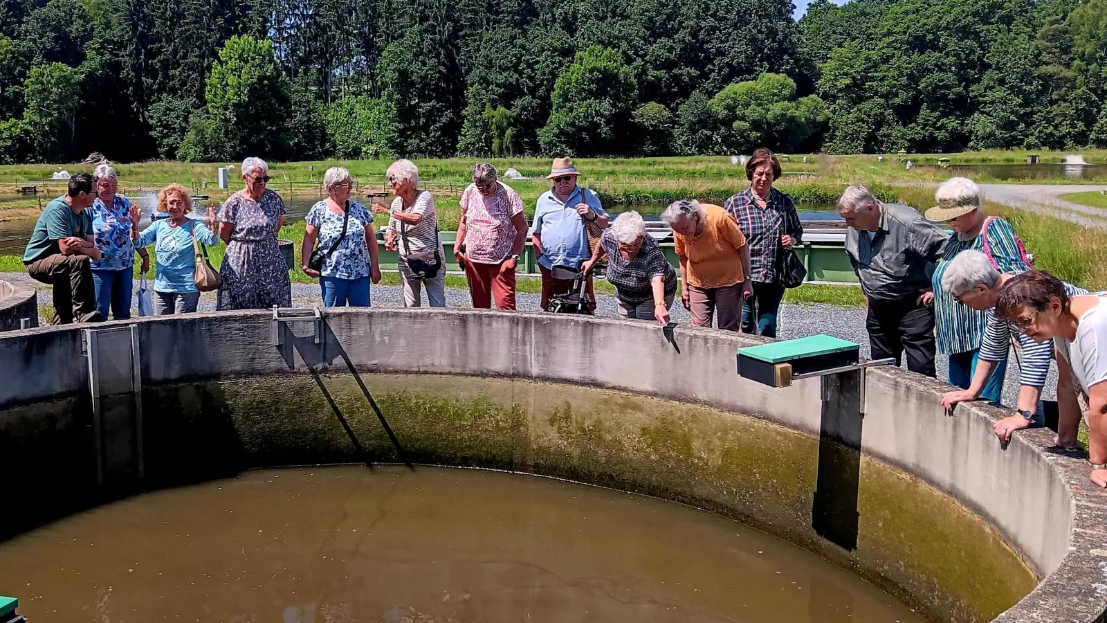 AWO-Mitglieder bei der Besichtigung mit Betriebsleiter Kevin Bäumler vor einem Karpfenbecken des Betriebs Wöllershof. (Bild: Johann Völkl)
